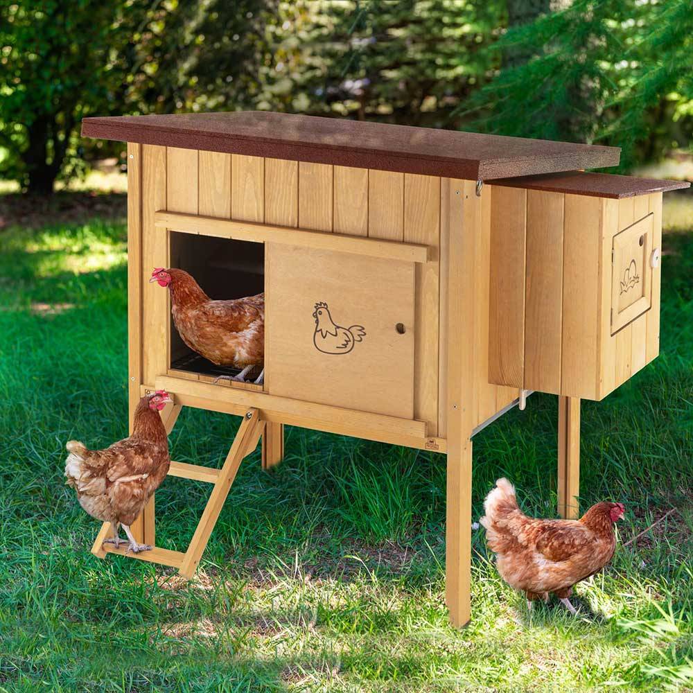 Ferplast - Ferplast Poulailler maisonnette pour poules pondeuses HEN HOUSE 10 d'extérieur, en bois FSC, pour environ 4 poules, accessoires inclus - Image 4
