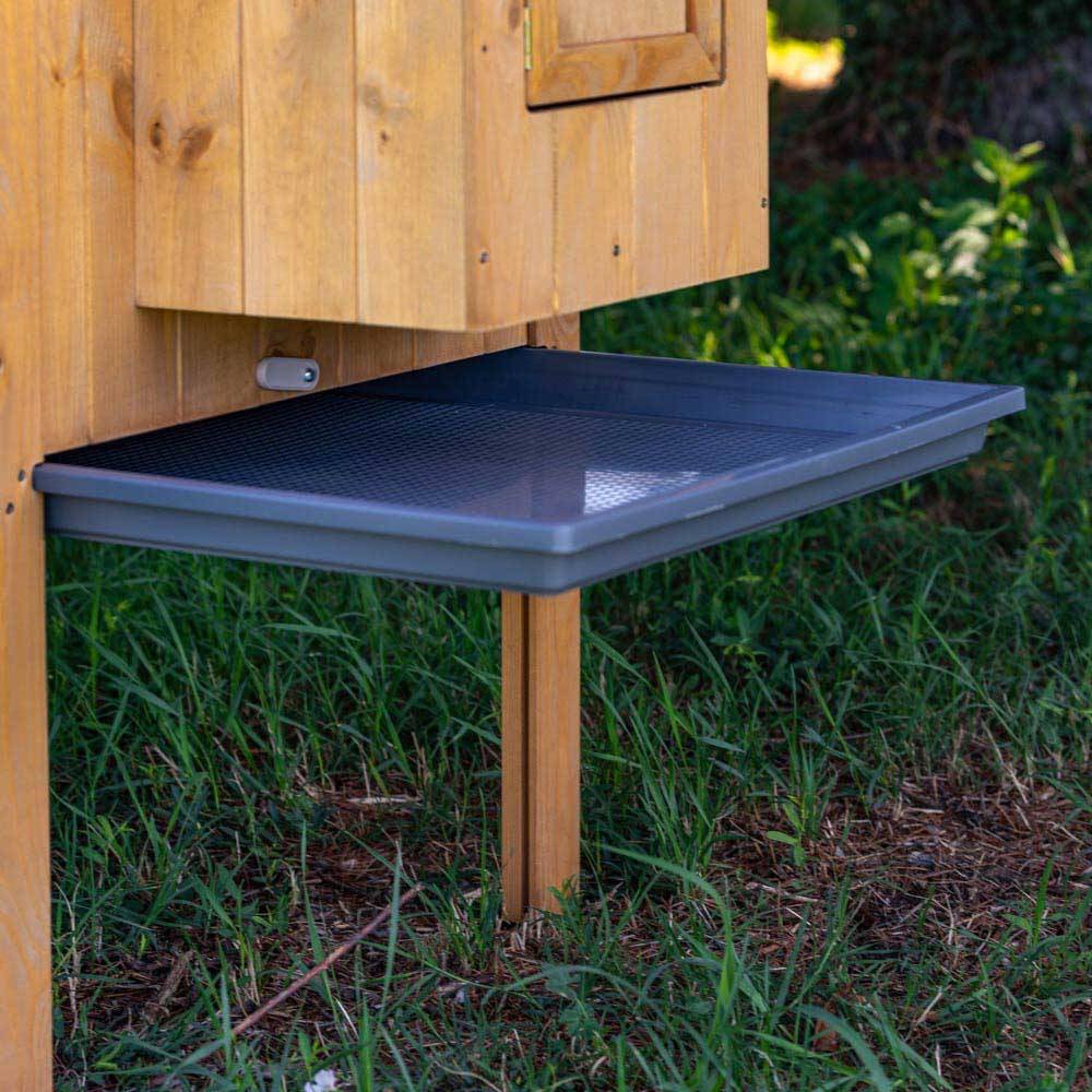 Ferplast - Ferplast Poulailler maisonnette pour poules pondeuses HEN HOUSE 10 d'extérieur, en bois FSC, pour environ 4 poules, accessoires inclus - Image 9