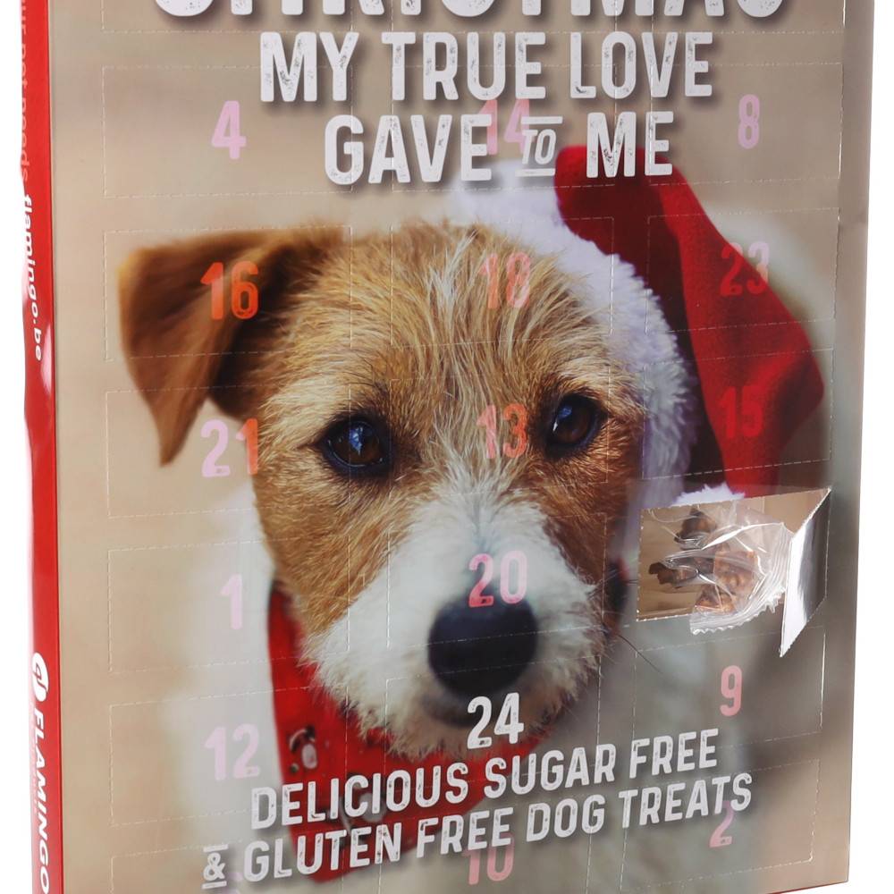 Flamingo - Calendrier de l'Avent pour chien, 24 friandises Chick'n Snack sans gluten - Flamingo - 295 g - Image 6