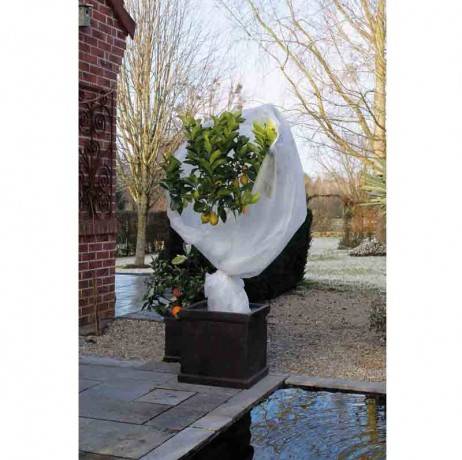 Voile d'hivernage blanc 30g/m², Dimensions 2 x 10 m - Image 1