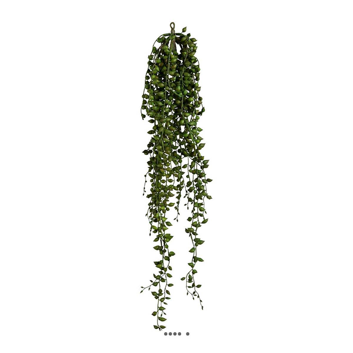 Artificielles - Chute de senecio artificiel L 88 cm feuillage plastique - Image 1