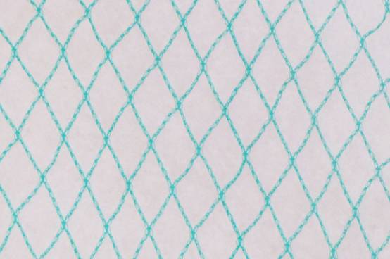 Filet anti-oiseaux - Maille de 13mm Vert 12m x 50m - Image 1