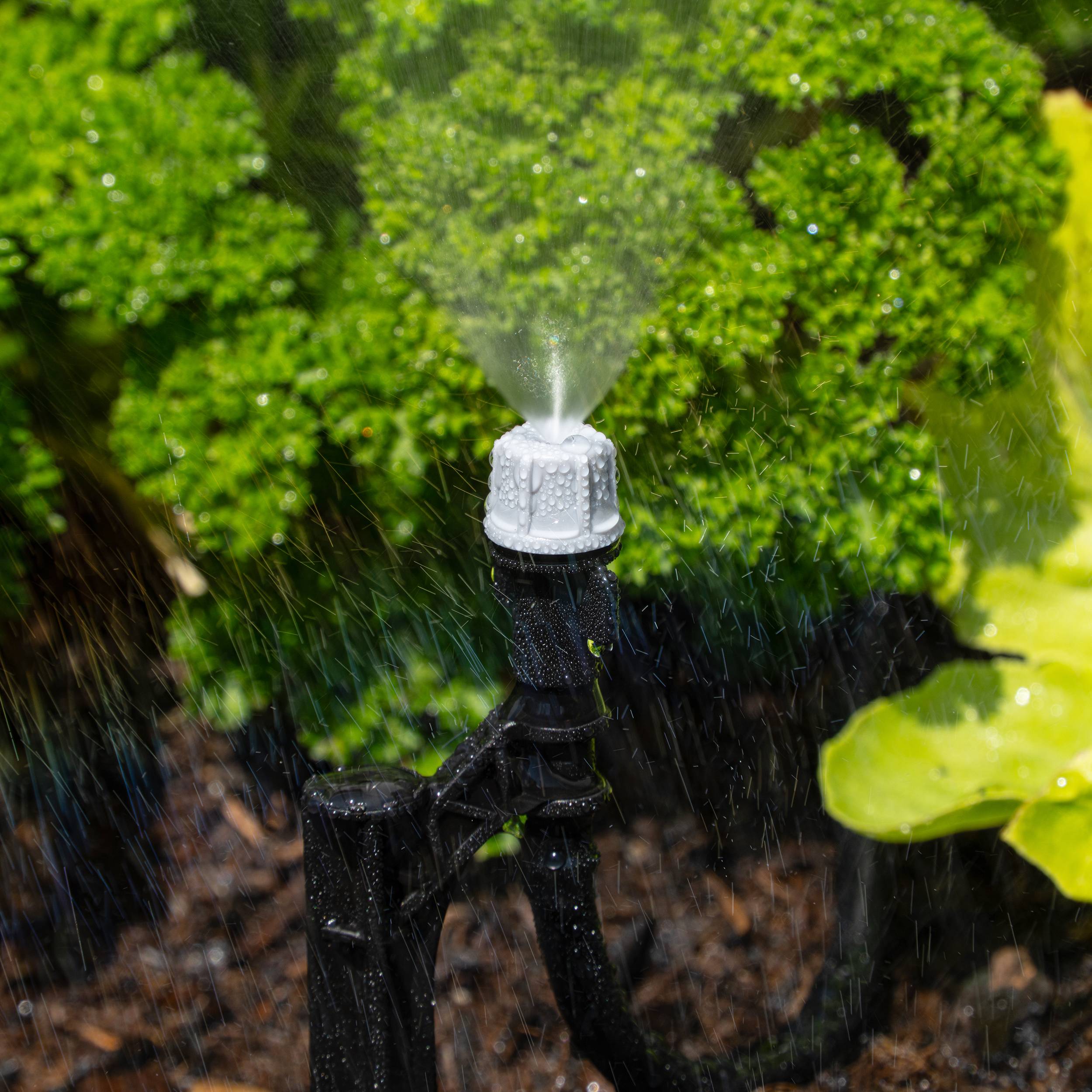 esotec - Système d'arrosage solaire esotec WaterSpray Jardin Arrosage 101122 - Image 5