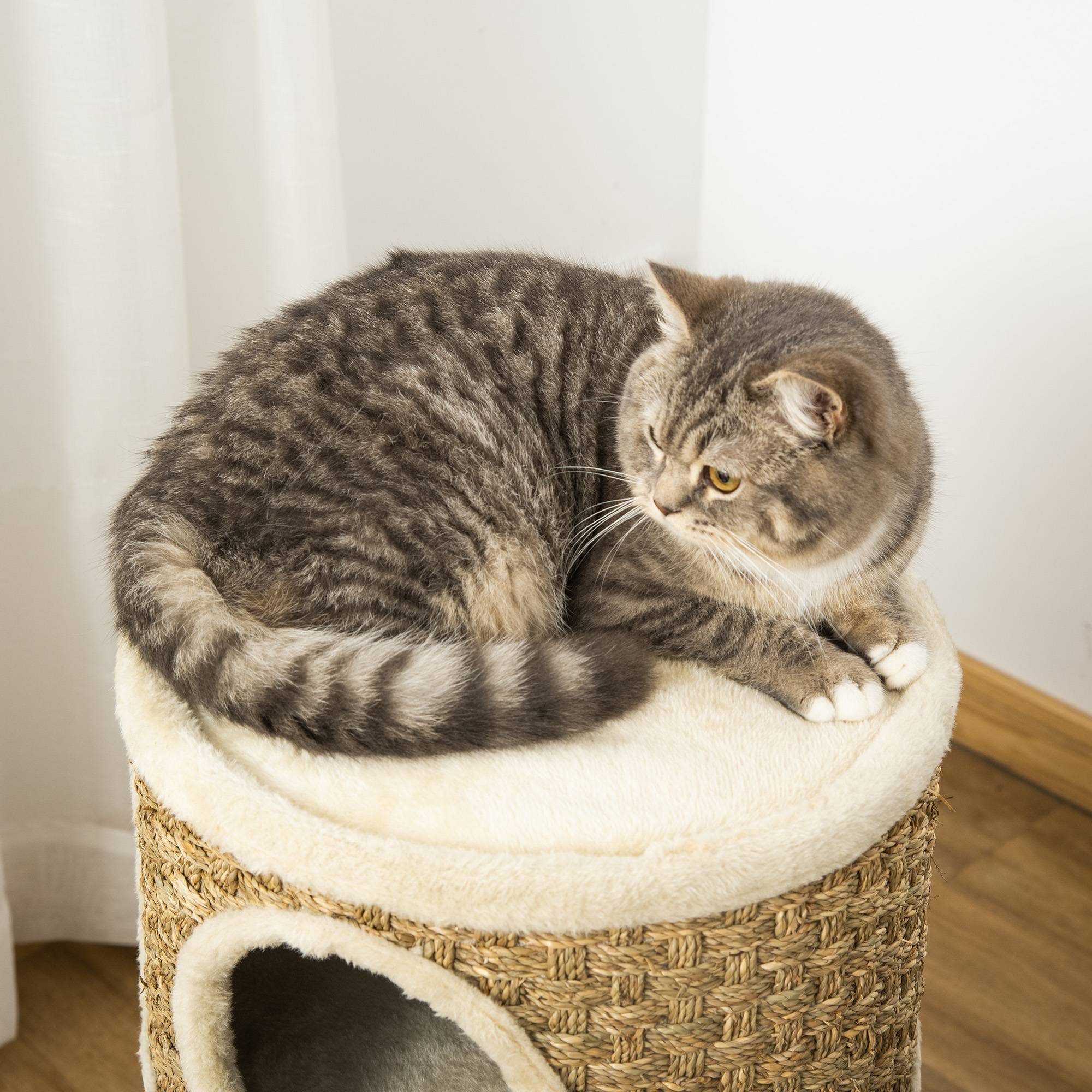 Pawhut - Arbre à chat cylindrique - tour à griffer pour chat - arbre à chat tour - Tonneau griffoir - 3 niches + plateforme - sisal corde d'algues beige - Image 8