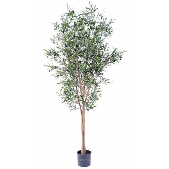 Olivier artificiel en pot 3 troncs H 180 cm Vert - dimhaut: H 180 cm - couleur: Vert