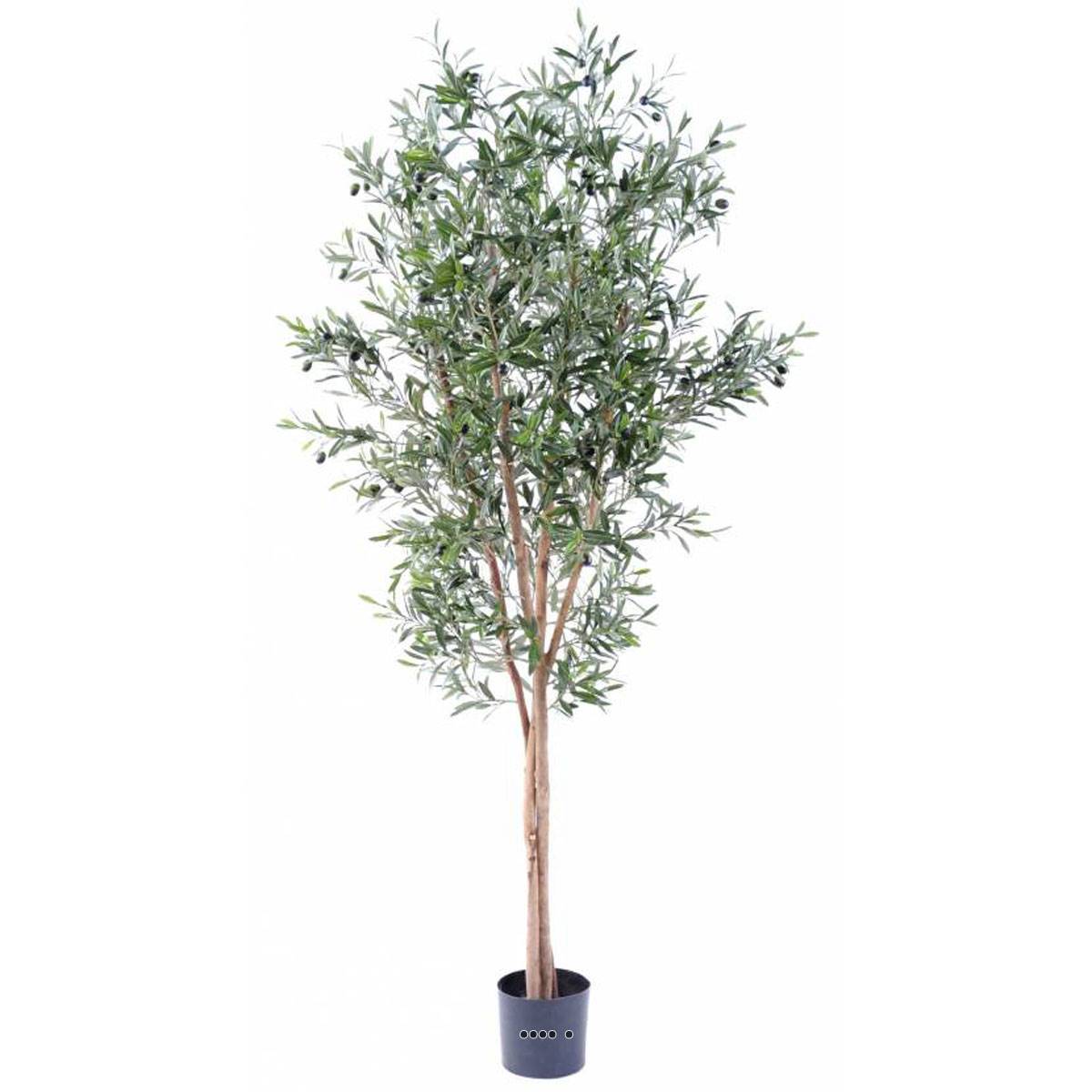 Olivier artificiel en pot 3 troncs H 180 cm Vert - dimhaut: H 180 cm - couleur: Vert