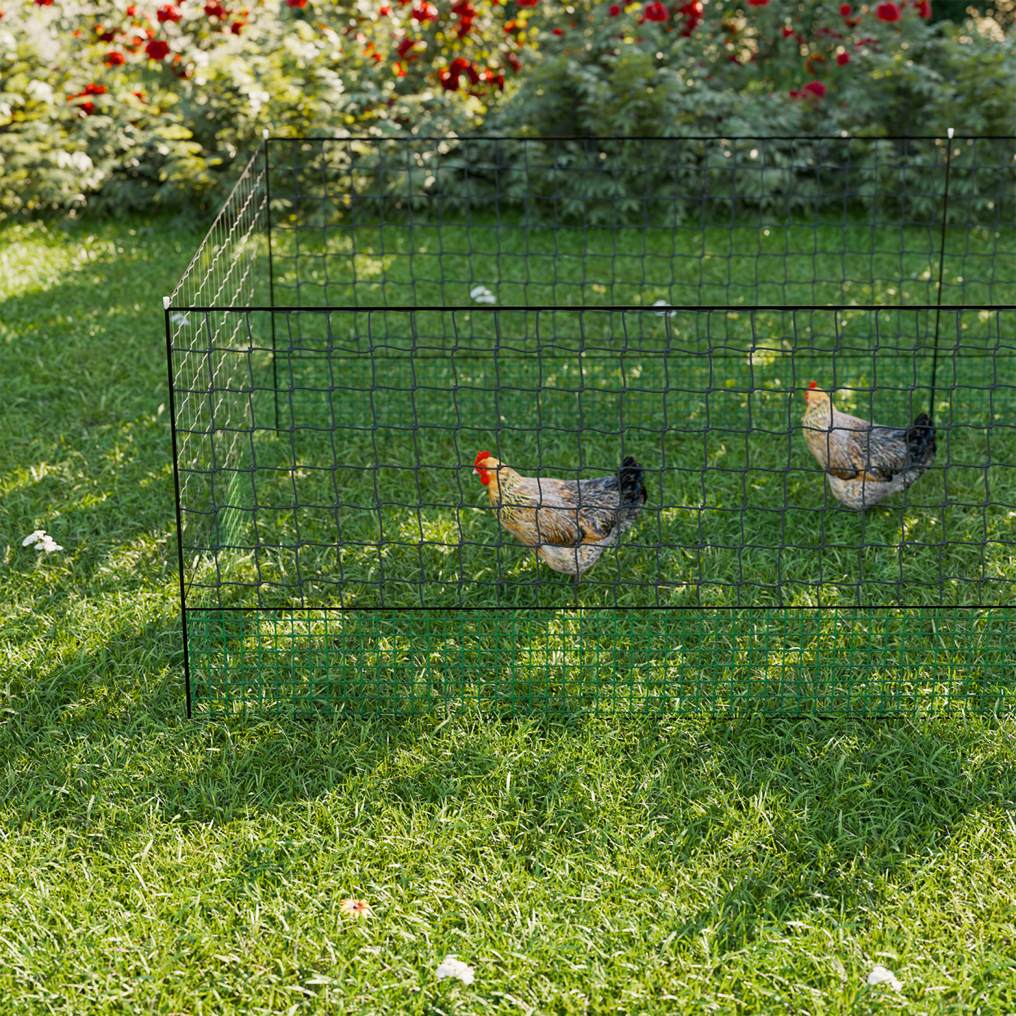 sweeek - Kit filet  clôtures pour poules 24m avec 8 piquets double pointes. modulable. porte d'accès. sardines incluses | sweeek - Image 3
