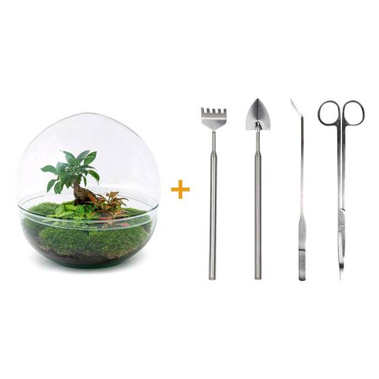 Kit Terrarium Diy - D30 H30cm - Image 2