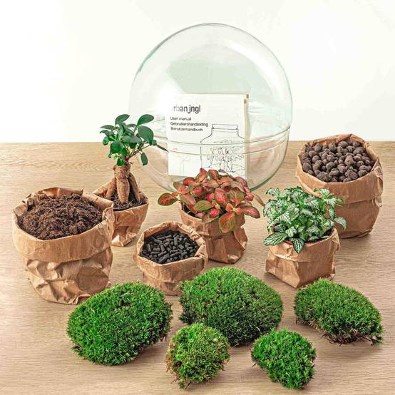 Kit Terrarium Diy - D30 H30cm - Image 5