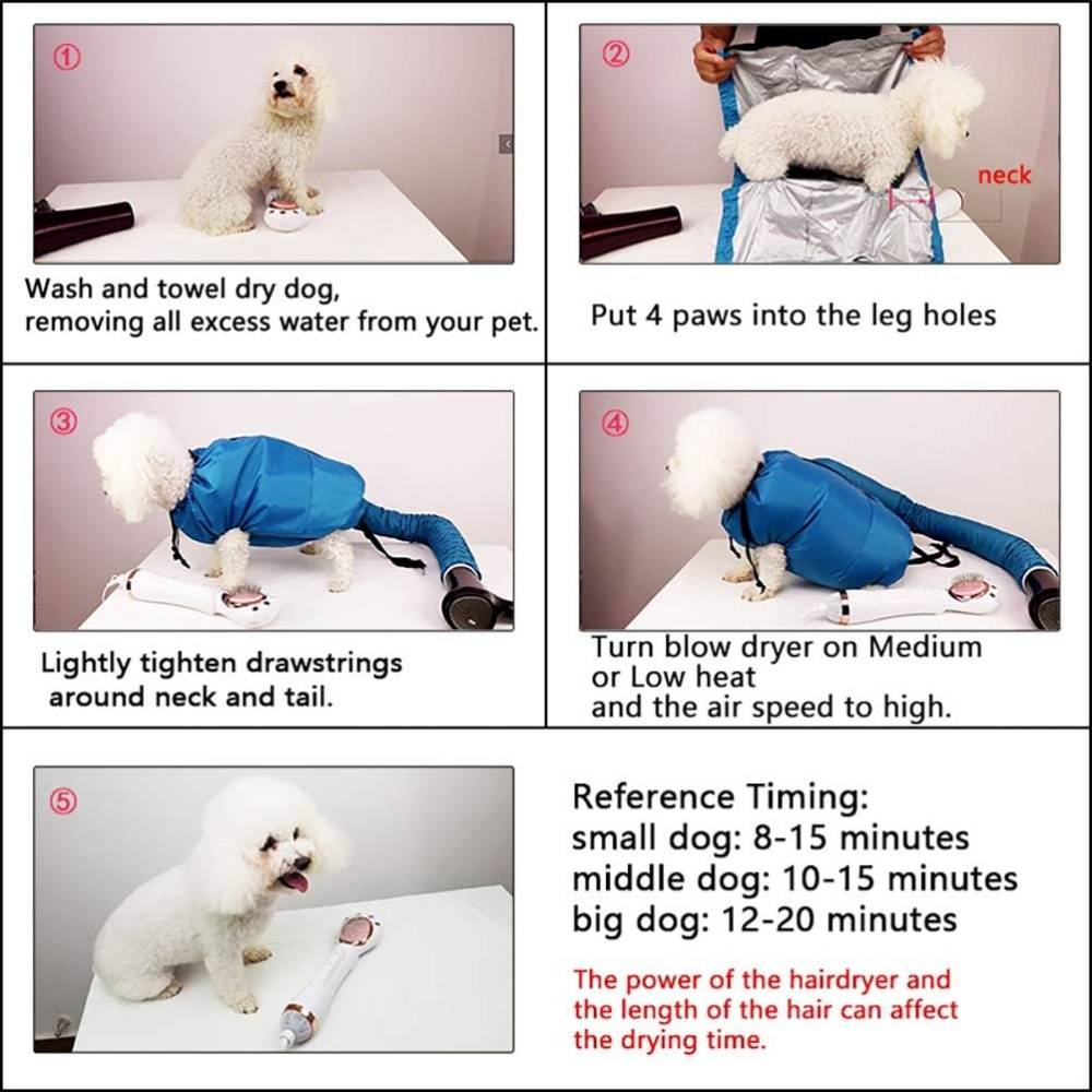 Boîte de séchage pour chats-Sèche-cheveux pour chien et chat à séchage rapide et soufflerie automatique - Living123 - Image 5
