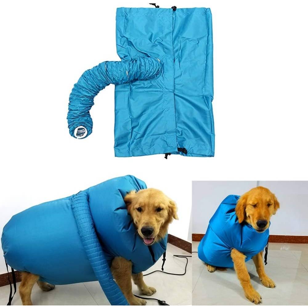 Boîte de séchage pour chats-Sèche-cheveux pour chien et chat à séchage rapide et soufflerie automatique - Living123 - Image 3