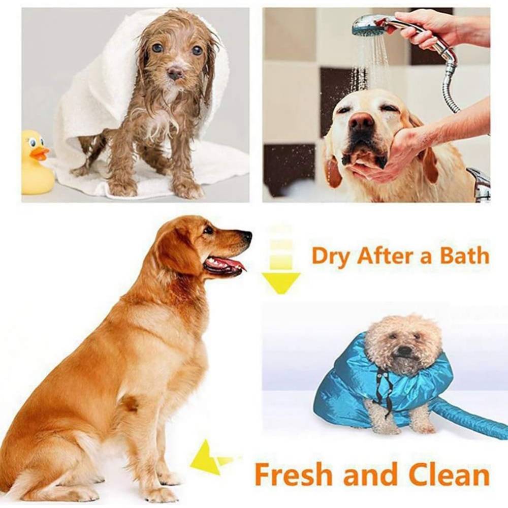Boîte de séchage pour chats-Sèche-cheveux pour chien et chat à séchage rapide et soufflerie automatique - Living123 - Image 6