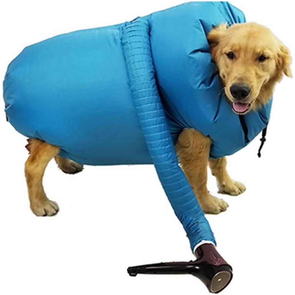Boîte de séchage pour chats-Sèche-cheveux pour chien et chat à séchage rapide et soufflerie automatique - Living123 - Image 2