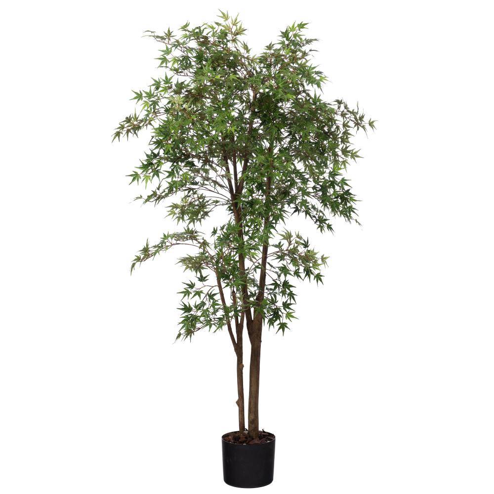 Erable Japonica 198 cm - Image 1