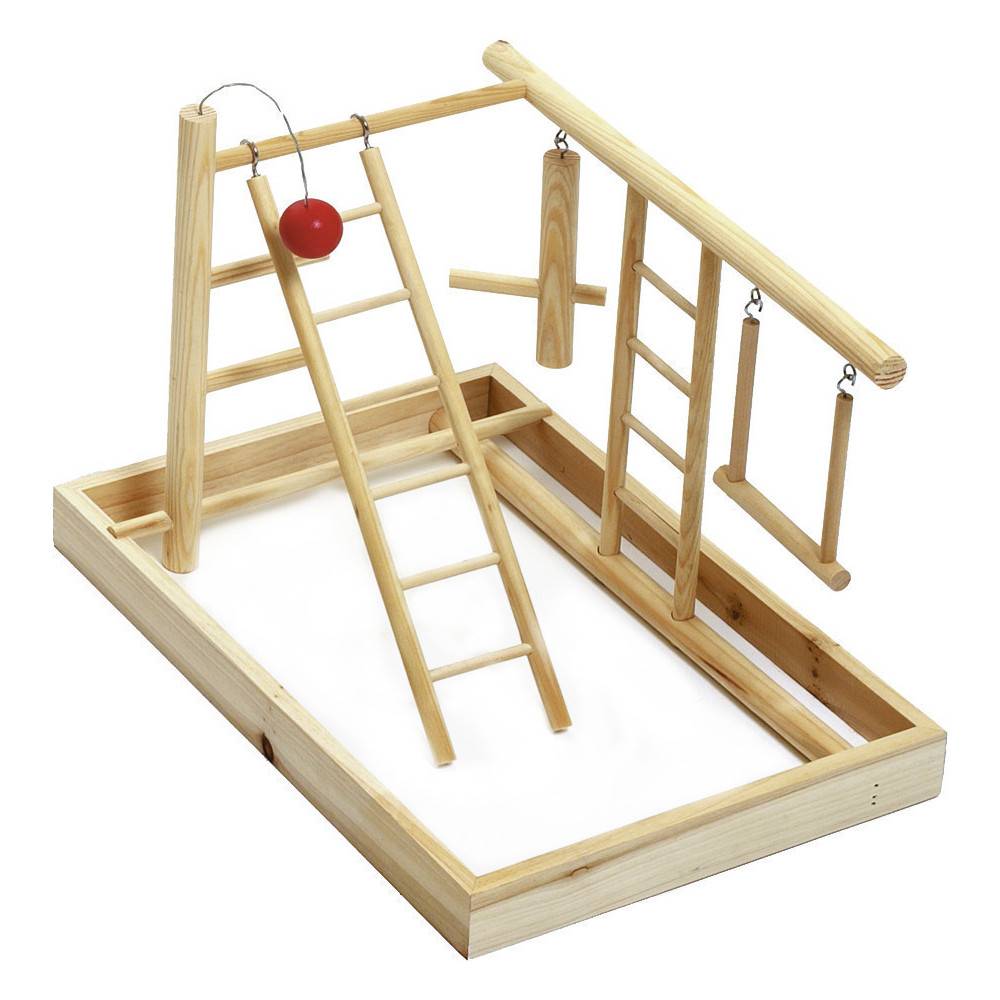 Aire de jeux pour oiseaux. - Image 2