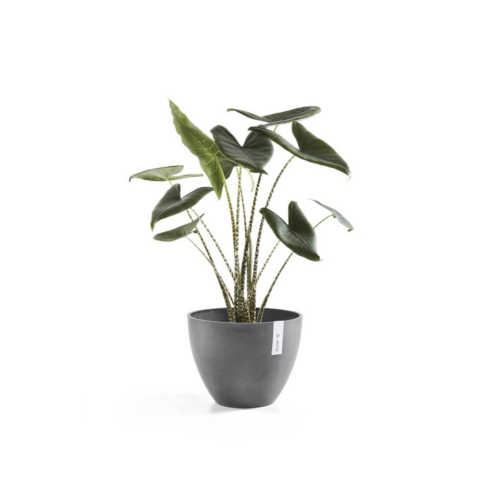 Ecopots - Pot Rond Antwerp 30 Gris - Ø 30 x H. 25,5 cm - 11,4 L ECOPOTS - Image 3