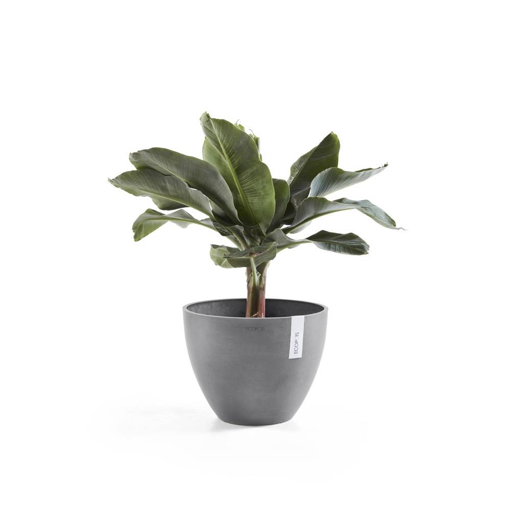 Ecopots - Pot Rond Antwerp 30 Gris - Ø 30 x H. 25,5 cm - 11,4 L ECOPOTS - Image 2