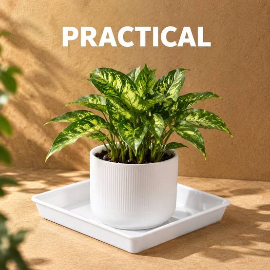 Soucoupe de Pot de Fleurs Carrée en Plastique avec Rétention d’Eau pour Balcon et Jardin Lot de 2 - Image 3