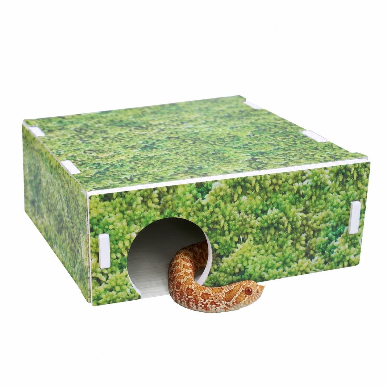 Abri Arche pour Serpent des Blés Cachette Reptile Terrarium - Image 1