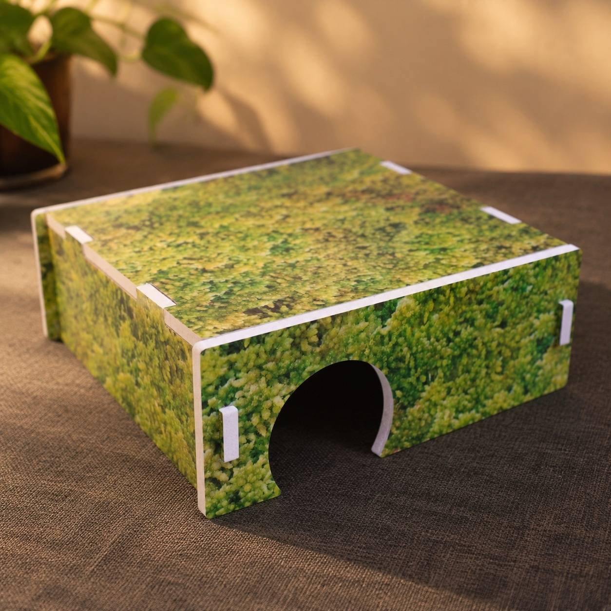 Abri Arche pour Serpent des Blés Cachette Reptile Terrarium - Image 2