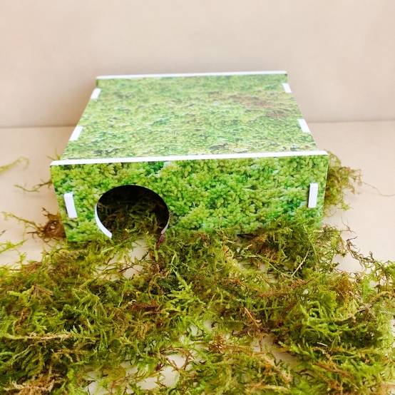 Abri Arche pour Serpent des Blés Cachette Reptile Terrarium - Image 3