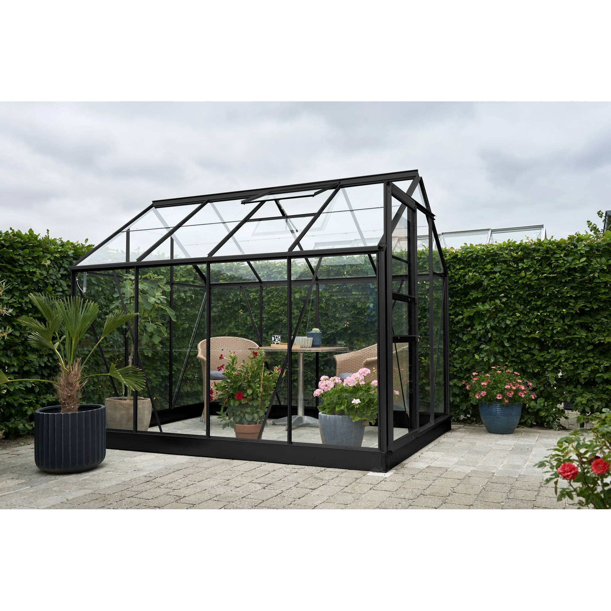 Halls - Serre en verre horticole 5,0 m² - Popular 86, noir - Halls - Image 1