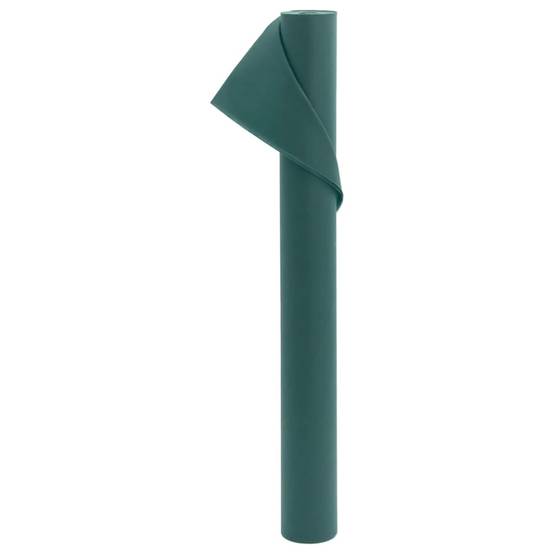 Lot 2 Tissus Anti-Gel Végétaux Polypropylène Non Tissé Résistant UV Isolation Fleurs et Arbustes Vert 10x1,6m – ComfortXL Outdoor Living - Image 3