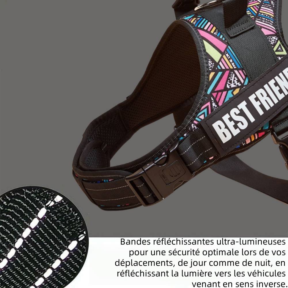 Harnais réglable en nylon pour chien l - IntiMeg - Image 2