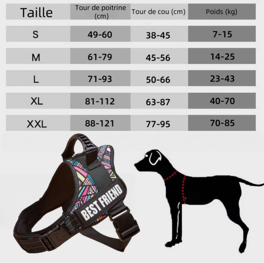 Harnais réglable en nylon pour chien l - IntiMeg - Image 3