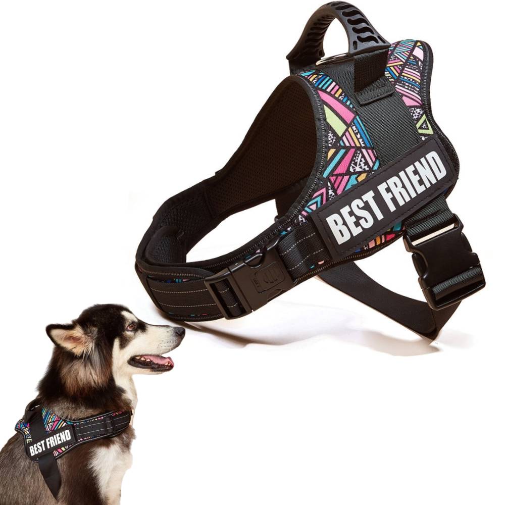 Harnais réglable en nylon pour chien l - IntiMeg - Image 1