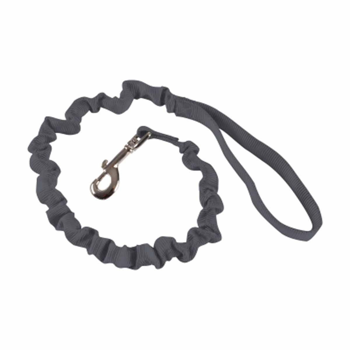 Laisse Chien Anti à Coups "Essentiel" 120cm Anthracite