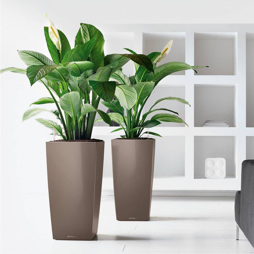 Lechuza - Cubico Premium 22 - kit complet, taupe brillant 41 cm Lechuza - Image 3
