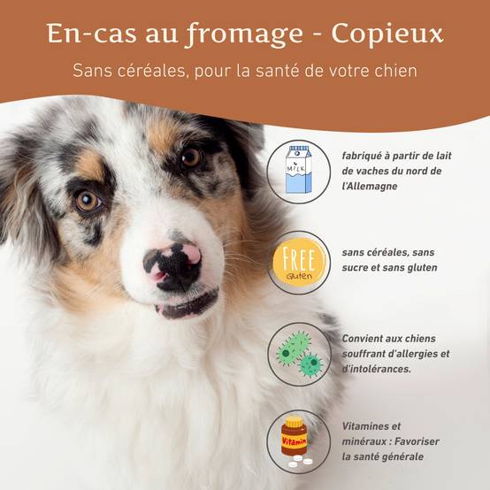 Wildfang - Wildfang - Coffret « En-cas sain » – Une récompense naturelle pour le bonheur de chaque chien - Image 10