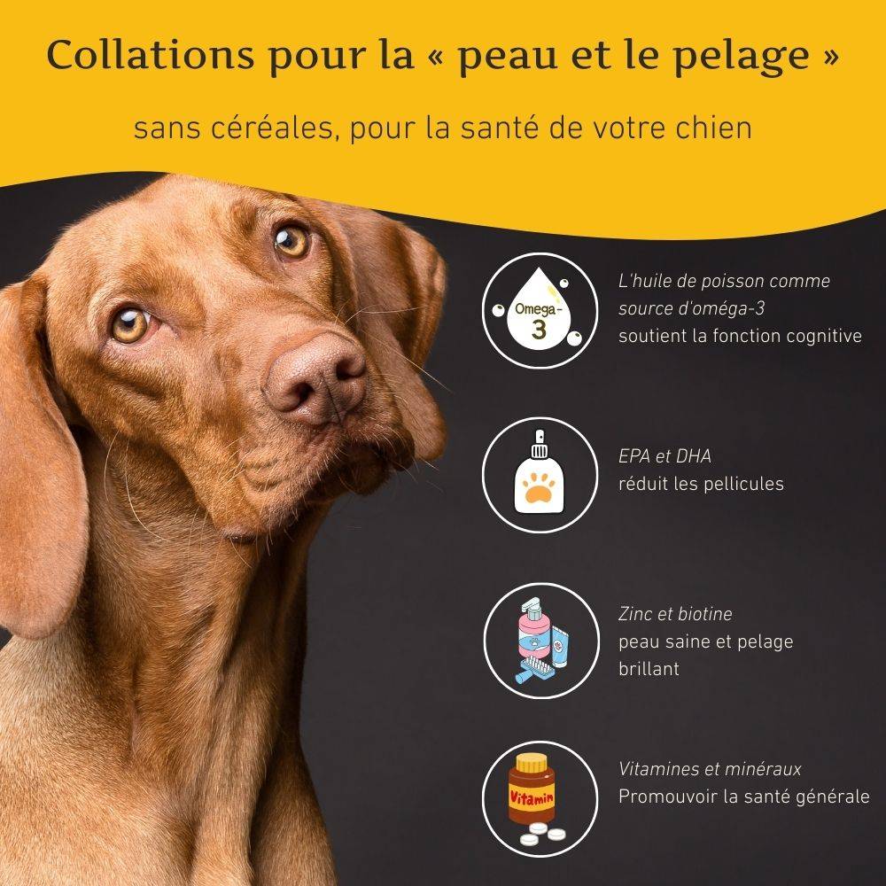 Wildfang - Wildfang - Coffret « En-cas sain » – Une récompense naturelle pour le bonheur de chaque chien - Image 4