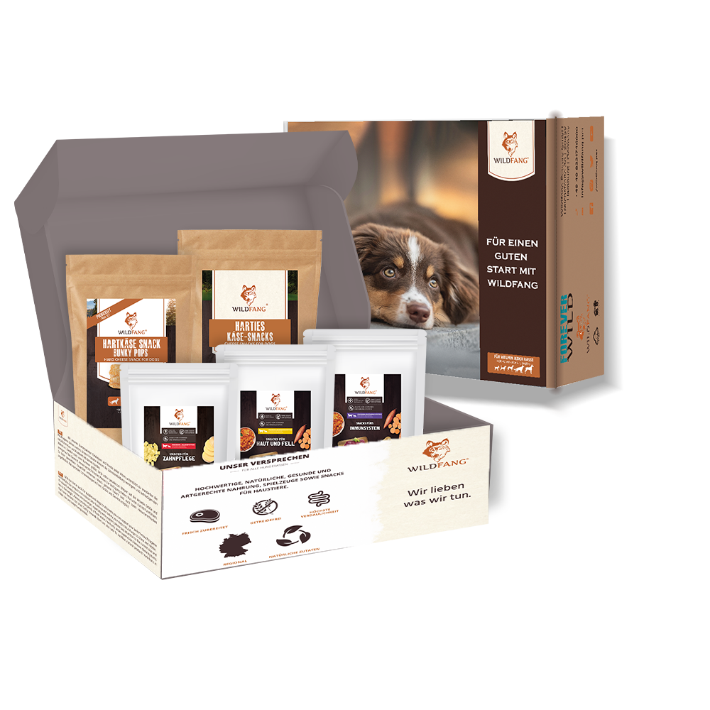 Wildfang - Wildfang - Coffret « En-cas sain » – Une récompense naturelle pour le bonheur de chaque chien - Image 1