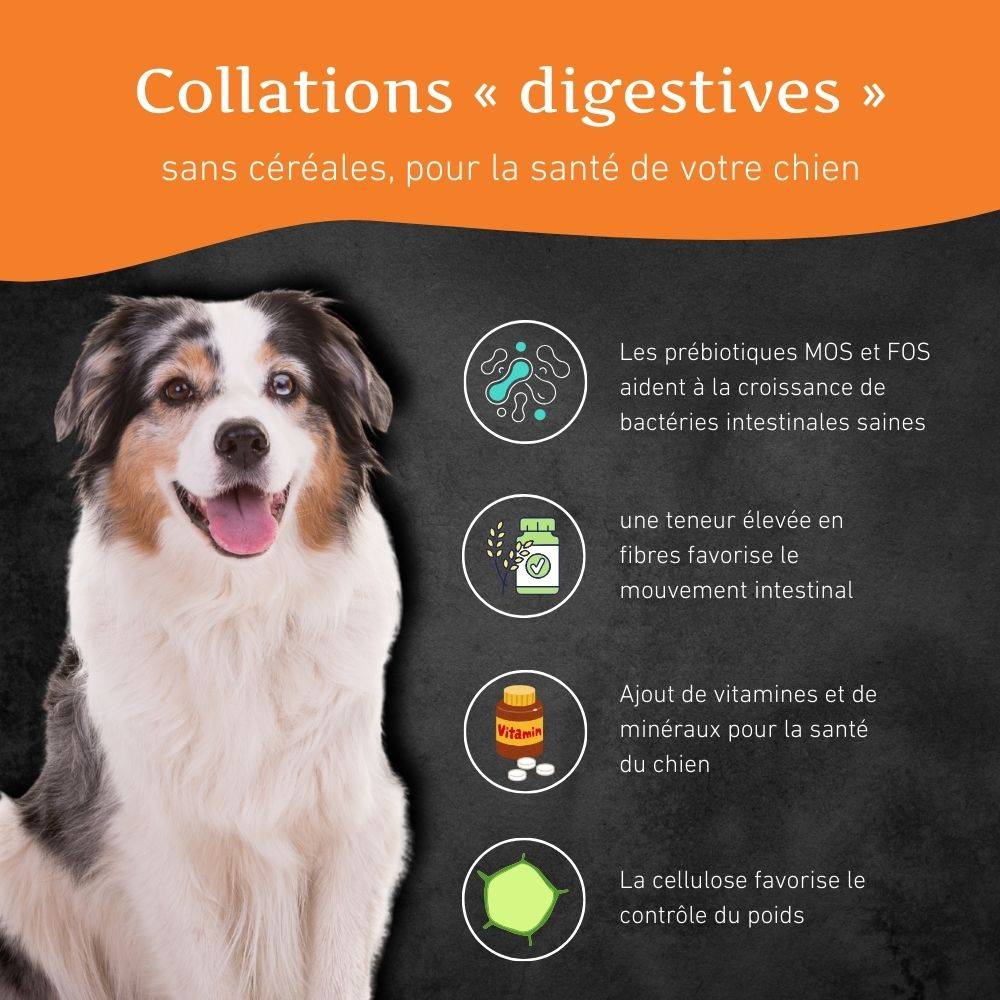 Wildfang - Wildfang - Coffret « En-cas sain » – Une récompense naturelle pour le bonheur de chaque chien - Image 6