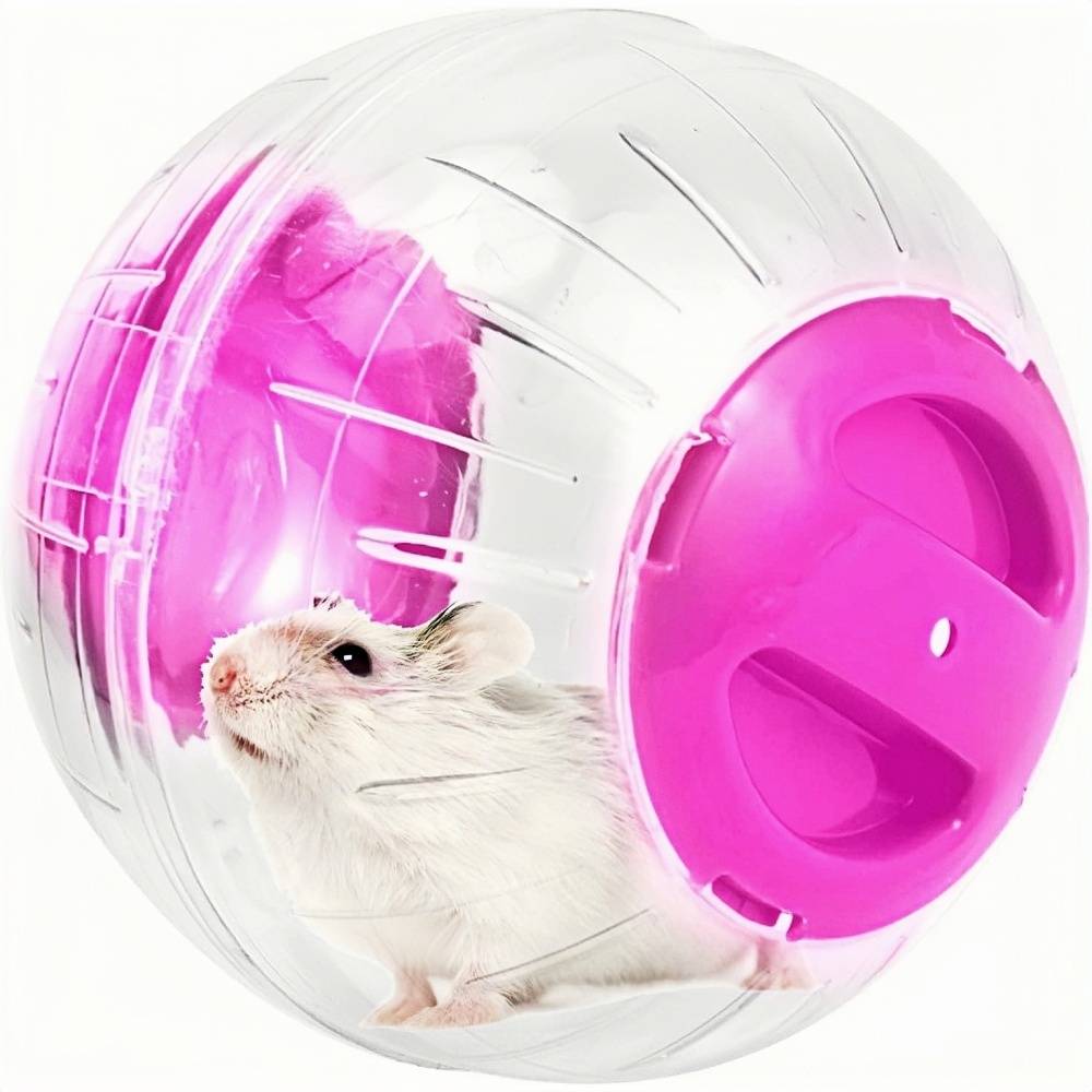 DtopbuyAge - Balle d'exercice pour hamsters, rats et gerbilles DtopbuyAge - Image 1