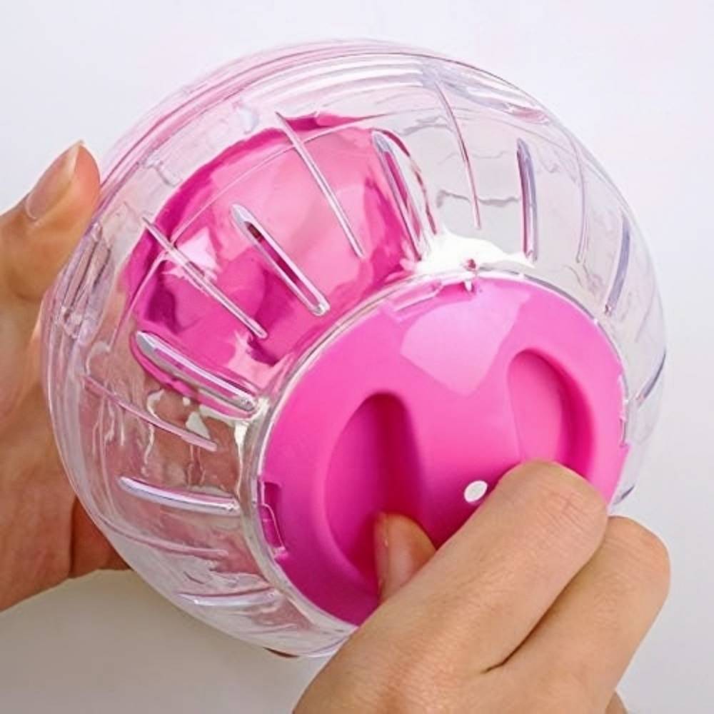 DtopbuyAge - Balle d'exercice pour hamsters, rats et gerbilles DtopbuyAge - Image 2