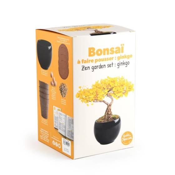 Radis et Capucine - Radis et Capucine - Kit Bonsaï - Ginkgo - Image 2