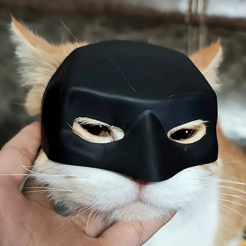 Masque Batman pour chat m - IntiMeg - Image 4