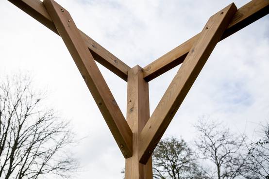 Habrita - Pergola THONON en bois thermo chauffé sans couverture 8,88 m² Habrita - Image 6