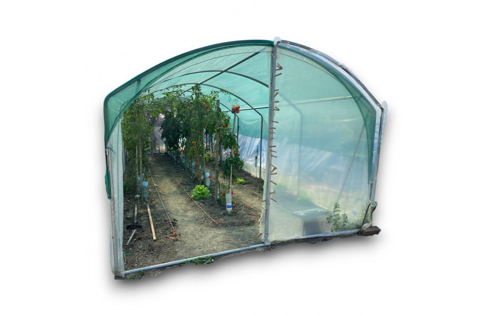 Serre tunnel de jardin - 36m² -  3 x 12 m - pieds droits - haute résistance à petit prix - LES SERRES TONNEAU - Image 2