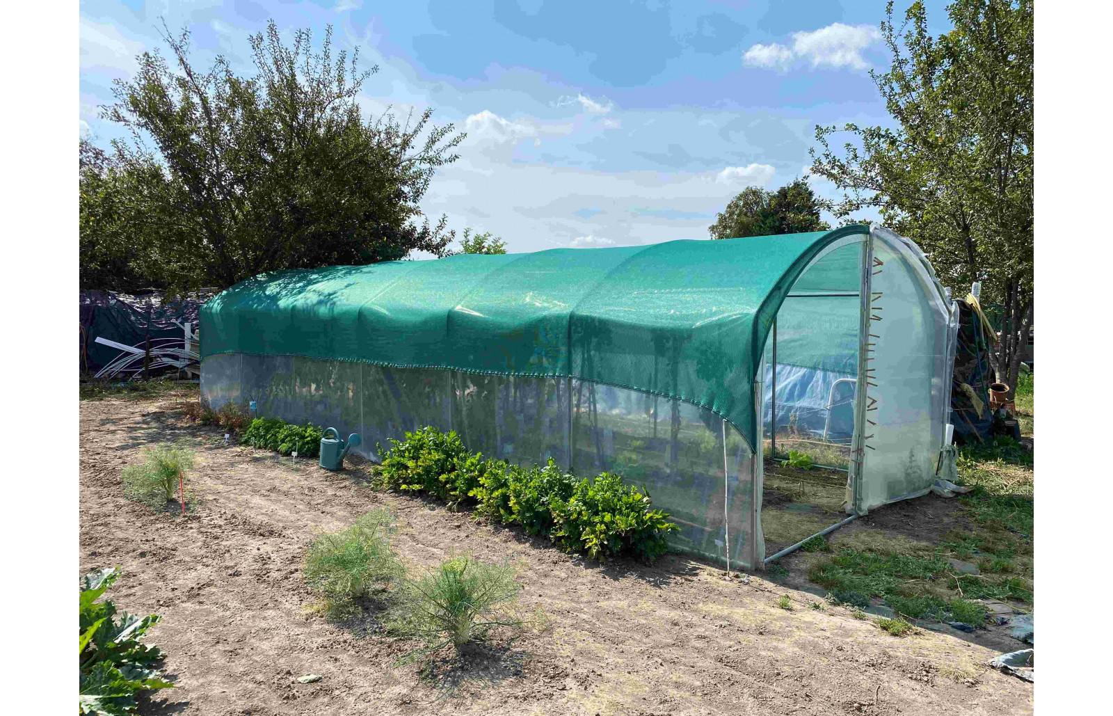 Serre tunnel de jardin - 36m² -  3 x 12 m - pieds droits - haute résistance à petit prix - LES SERRES TONNEAU - Image 3