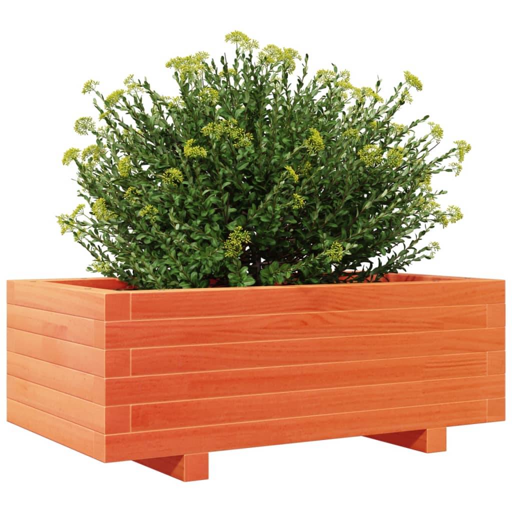 Jardinière bois de pin massif cire marron 70 x 40 x 26,5 cm - PANGIVO - Image 4