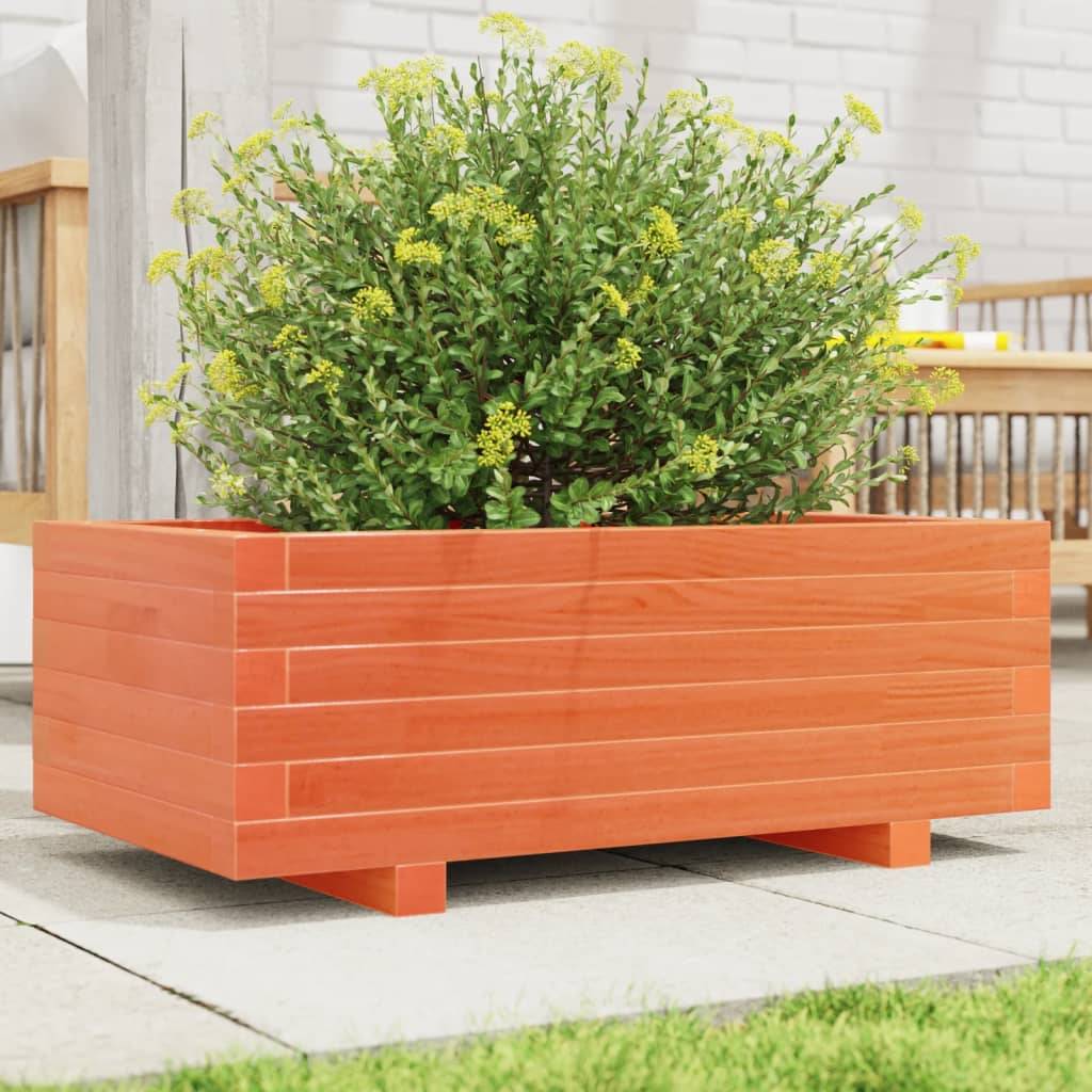 Jardinière bois de pin massif cire marron 70 x 40 x 26,5 cm - PANGIVO - Image 1