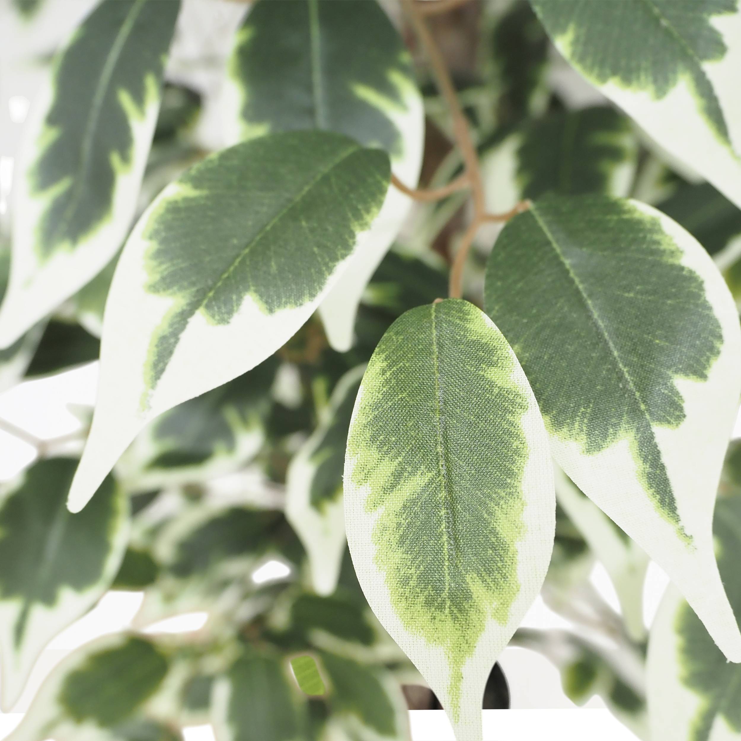 Ligne Deco - Ficus artificiel panaché 180cm - Image 2