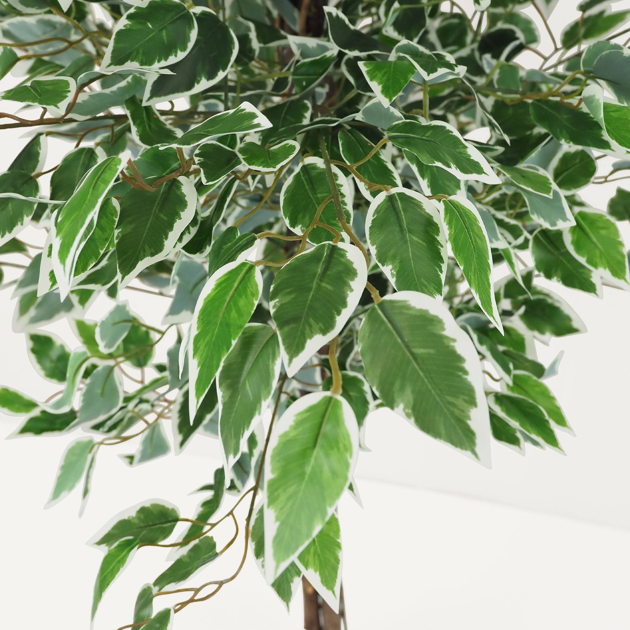 Ligne Deco - Ficus artificiel panaché 180cm - Image 5