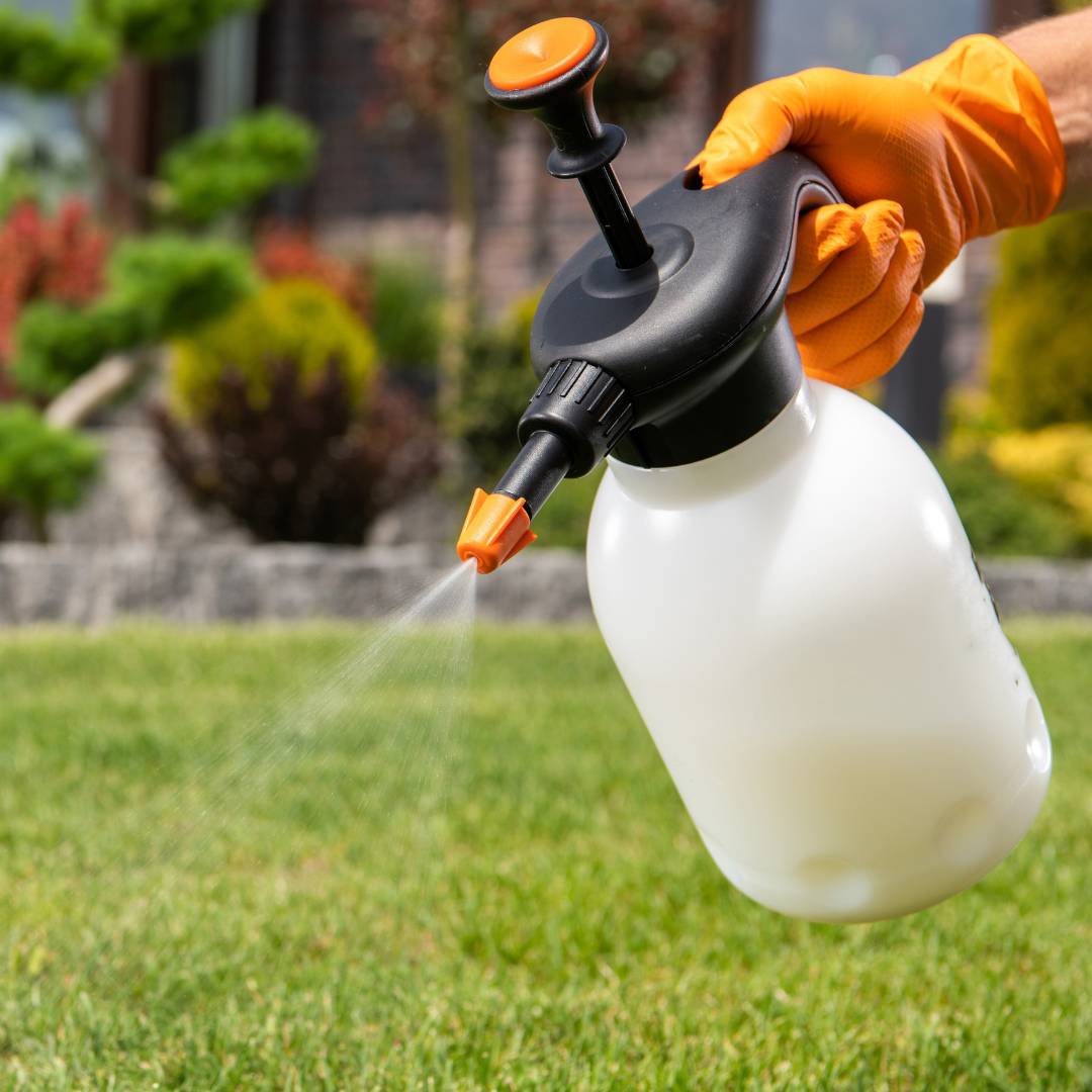 Sans Marque - Désherbant naturel prêt à l'emploi en bidon - Image 2