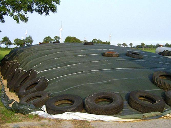 Grille de protection silo Vert 8m x 15m