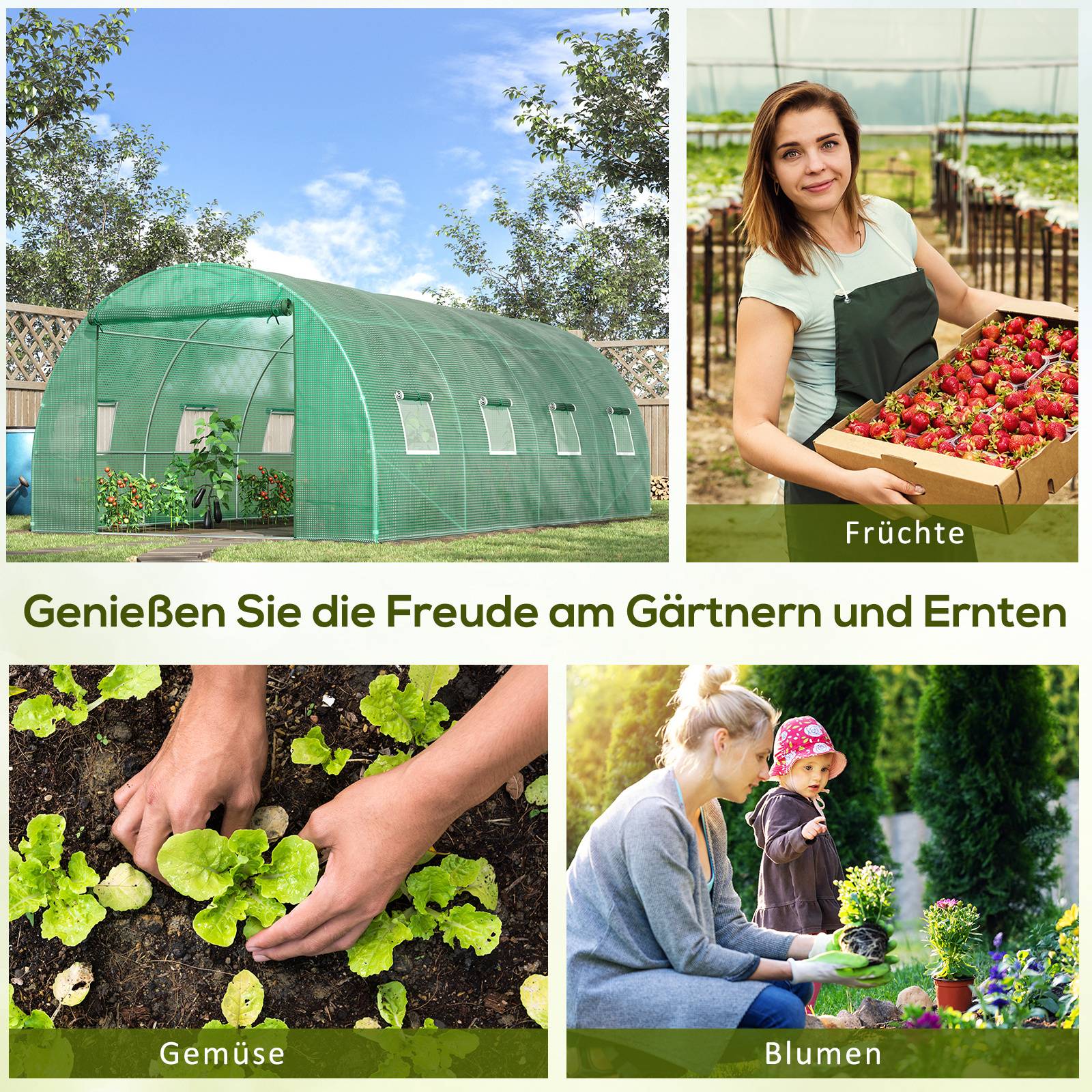 Sans Marque - Serre aluminium plain-pied tunnel culture serre chaude plastique acier verte serre potager jardin - Image 9